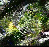 Byrrill Creek Walking Track - Accommodation Perth