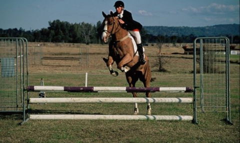 Camden Bicentennial Equestrian Park - Perth Resorts 0