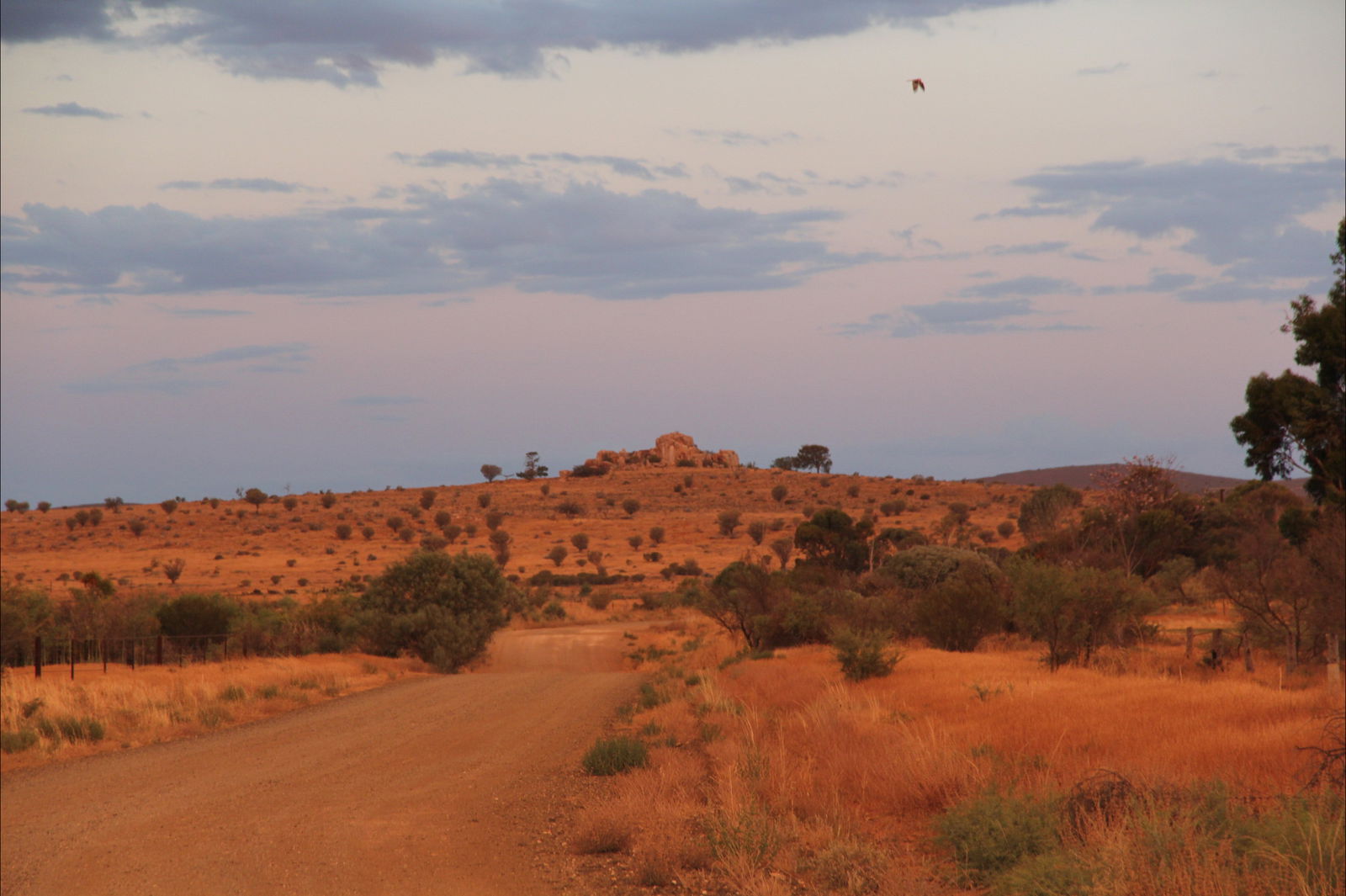 Flinders Ranges And Outback SA Accommodation Perth