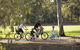 Coast To Vines Rail Trail - thumb 1