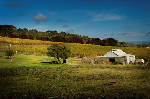 Coast To Vines Rail Trail - Accommodation Perth 2