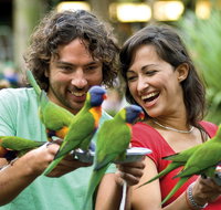 Currumbin Wildlife Sanctuary - Accommodation Perth