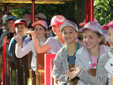 Currumbin Wildlife Sanctuary - Accommodation Perth 1