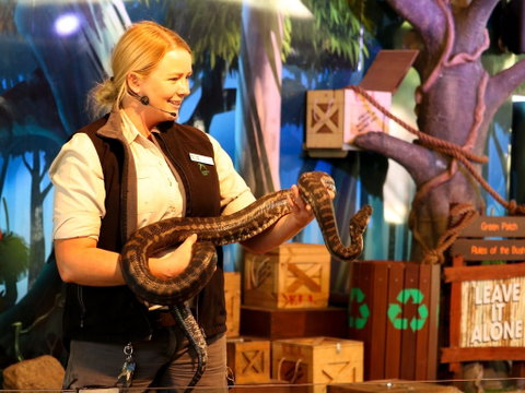 Currumbin Wildlife Sanctuary - Accommodation Perth 2