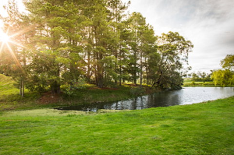 Curlewis Golf Club & The Range At Curlewis The Bellarine - Accommodation Perth 1