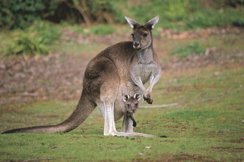 Donnelly River - Accommodation Perth 0