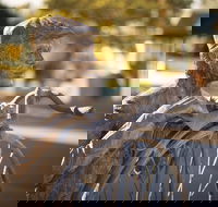 Evandale - Accommodation Perth