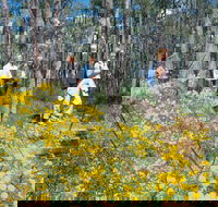 Gidgegannup - Accommodation Perth