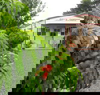 Gully Gardens - Accommodation Perth