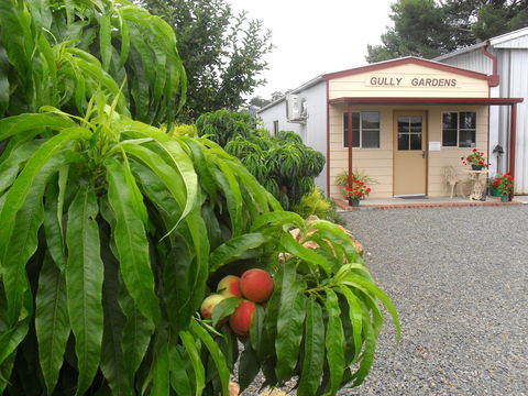 Gully Gardens - Accommodation Perth 0