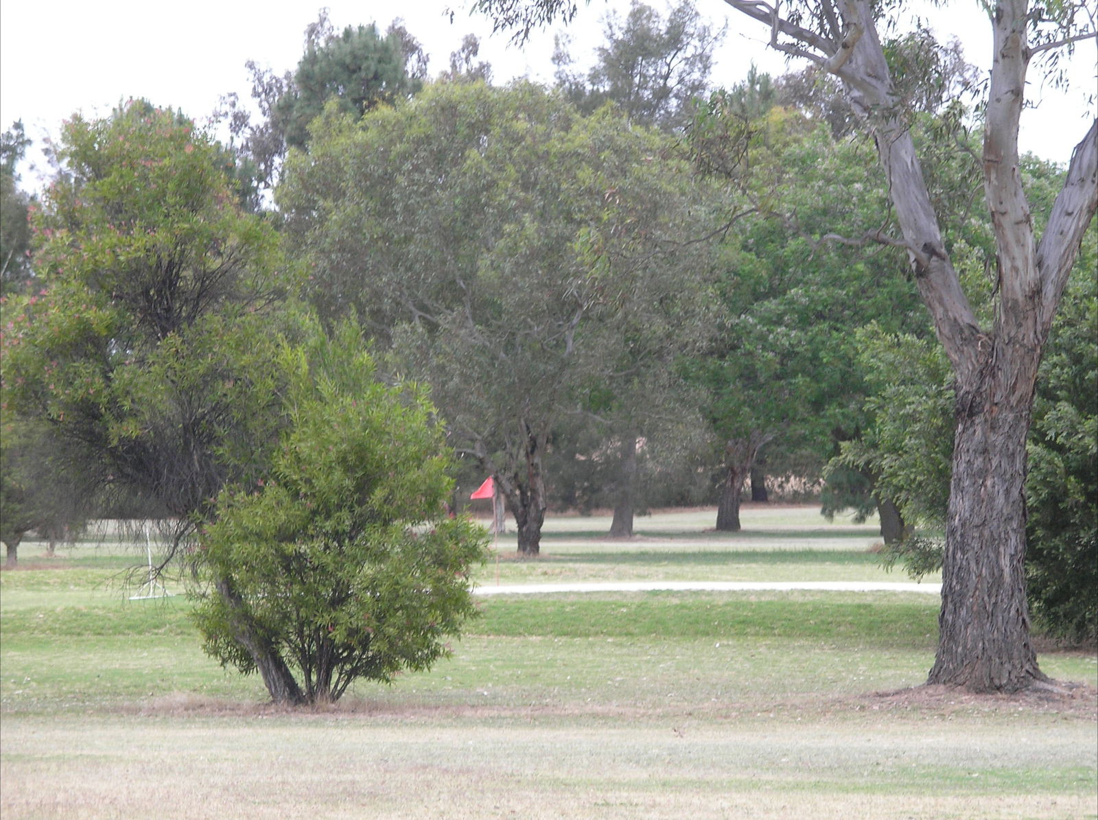 Coppabella NSW Accommodation Perth