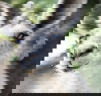 John Egan Pioneer Track - Perth Resorts