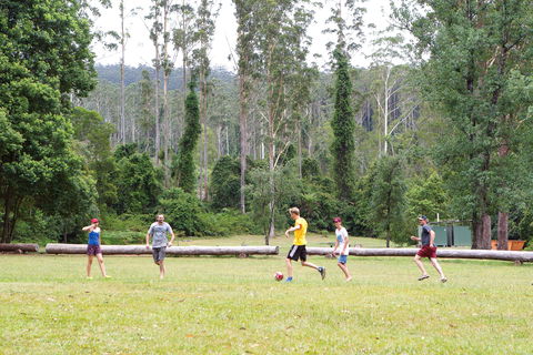 Kerewong State Forest - Accommodation Perth 1