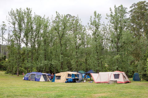 Kerewong State Forest - Accommodation Perth 2