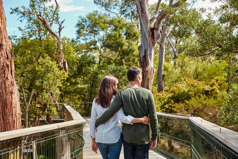 Koala Conservation Reserve - Perth Resorts 2