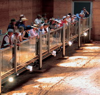 Lark Quarry Conservation Park - Accommodation Perth