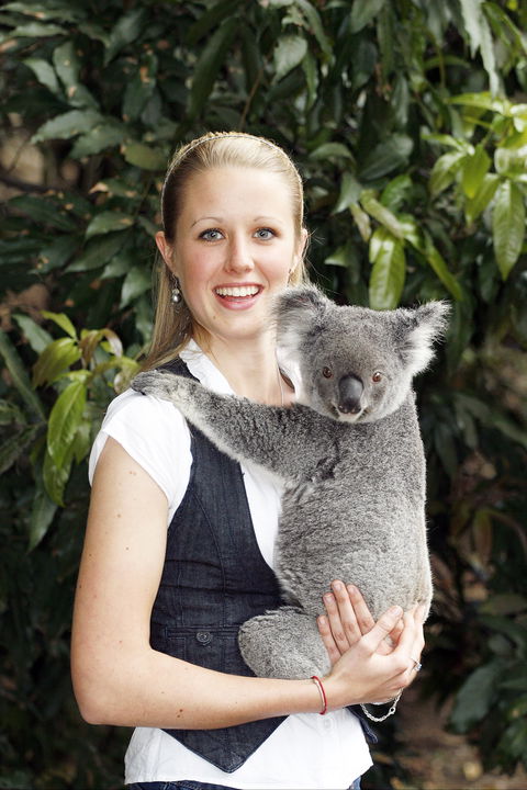 Lone Pine Koala Sanctuary - Accommodation Perth 1