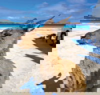 Lucky Bay - Accommodation Perth