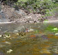 Mount Boss State Forest - Accommodation Perth