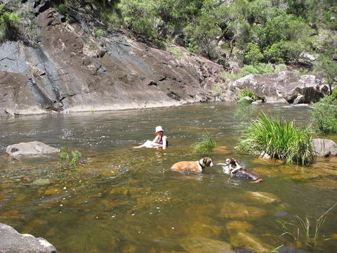 Mount Boss State Forest - Perth Resorts 0