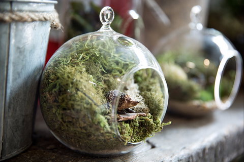 Moxom And Whitney - Perth Resorts 0