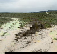 Ngarkat Conservation Park - Accommodation Perth