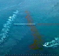Port Noarlunga Reef Sanctuary Zone - Encounter Marine Park - Accommodation Perth