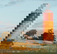 Rutherglen Wine Bottle - Perth Resorts