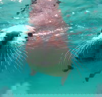 Seal Cove - Perth Resorts