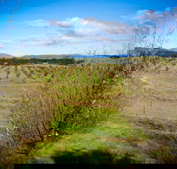 Tarago Truffles - Accommodation Perth