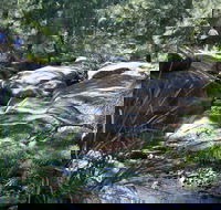 Towarri National Park - Accommodation Perth