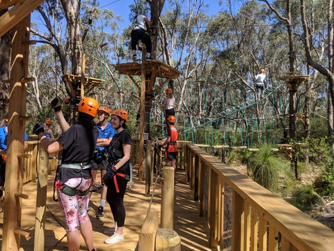 Trees Adventure - Yanchep Park - Accommodation Perth 0