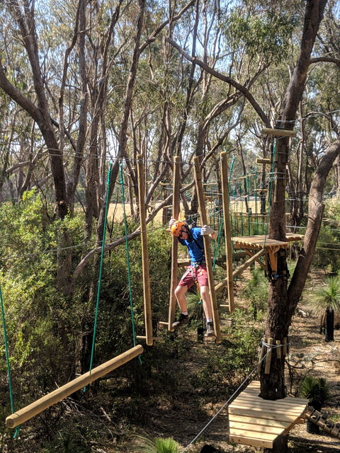 Trees Adventure - Yanchep Park - Accommodation Perth 1
