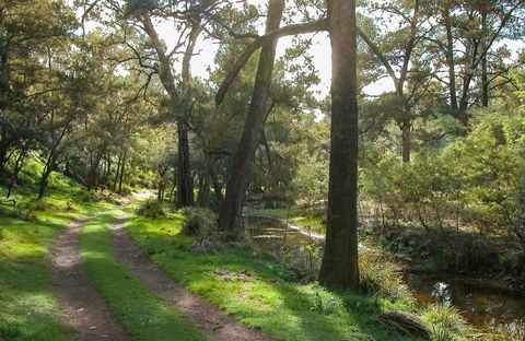 Turon National Park - Accommodation Perth 0