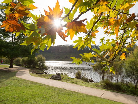 Wentworth Falls Lake - Perth Resorts 0