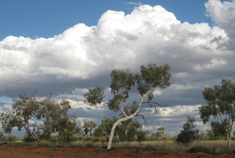 Windorah Nature Drive - Accommodation Perth 1