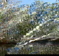 Wongi State Forest - Accommodation Perth