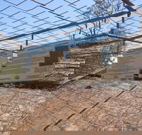 Aboriginal Carvings - Accommodation Perth