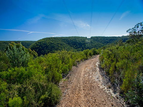 Bargo State Conservation Area - Accommodation Perth 1