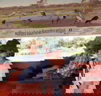 Bird Watching in Narrandera - Accommodation Perth