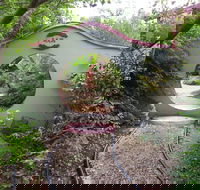 Black Dragon Gardens Wulong Yuan - Accommodation Perth