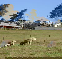 Calmsley Hill City Farm - Accommodation Perth