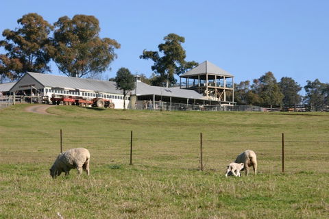 Calmsley Hill City Farm - Accommodation Perth 0