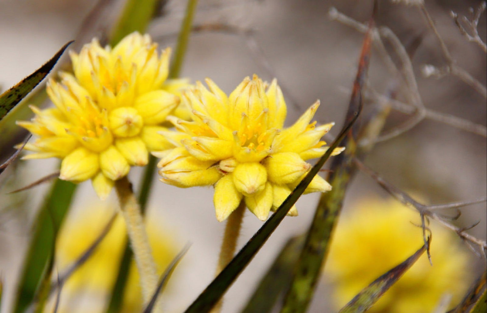 Yathroo WA Accommodation Perth