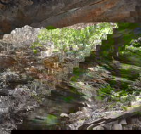 Cave Creek Walking Track - Accommodation Perth