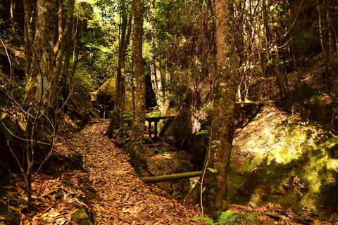 Cave Creek Walking Track - Accommodation Perth 2