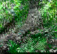 Djiru National Park - Perth Resorts