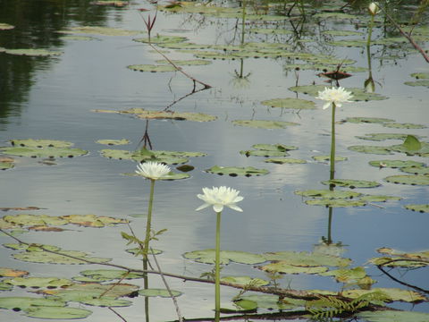 Djukbinj National Park - Perth Resorts 1
