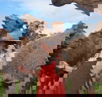 DromeDairy Body and Skin - Accommodation Perth