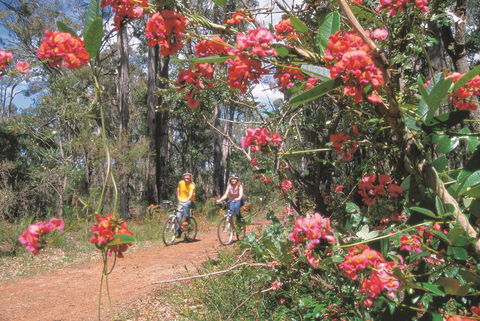 Dwellingup - Accommodation Perth 1